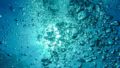 Air Bubbles Diving Underwater Blow 62307