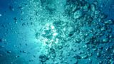 Air Bubbles Diving Underwater Blow 62307